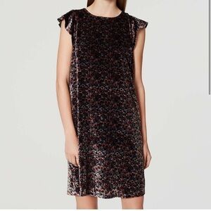 Nwt LOFT floral velvet sleeveless flutter sleeve mini dress